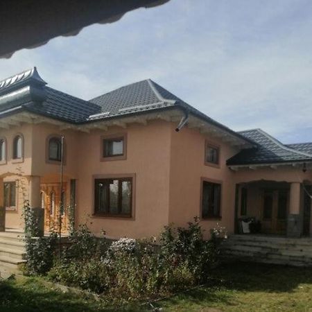 Casa Ilea -Agapia 빌라 외부 사진