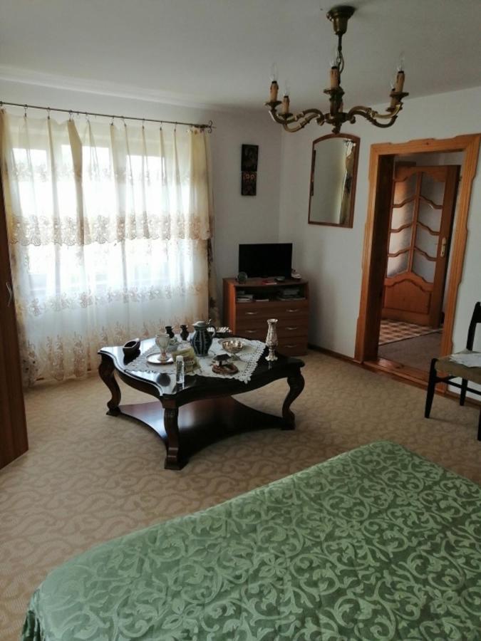 Casa Ilea -Agapia 빌라 외부 사진