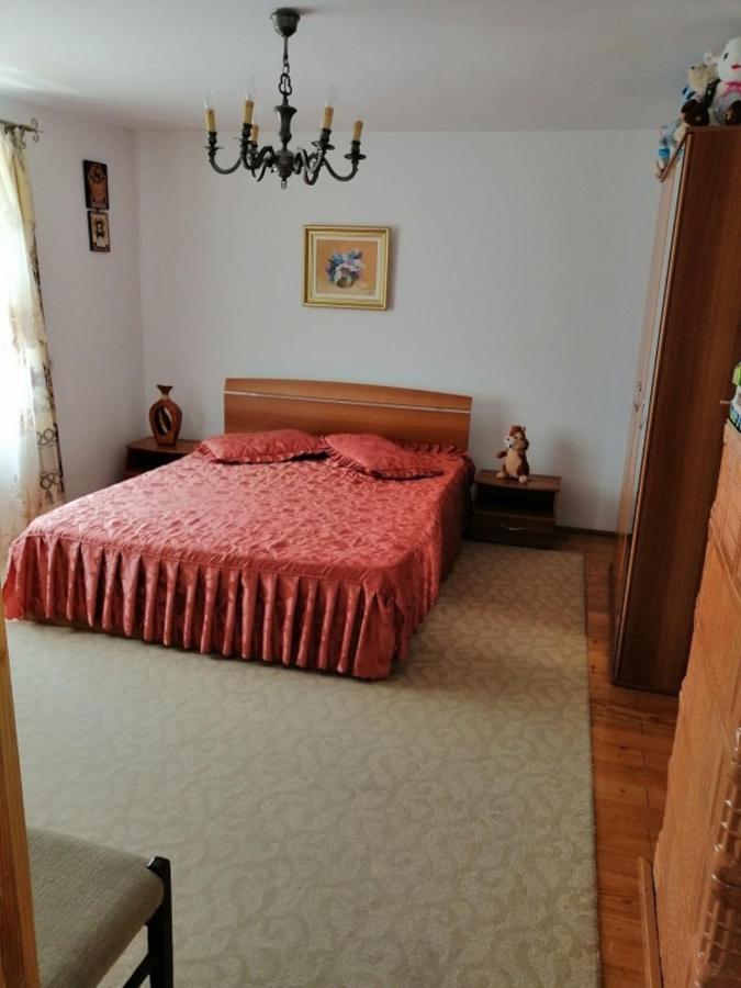 Casa Ilea -Agapia 빌라 외부 사진